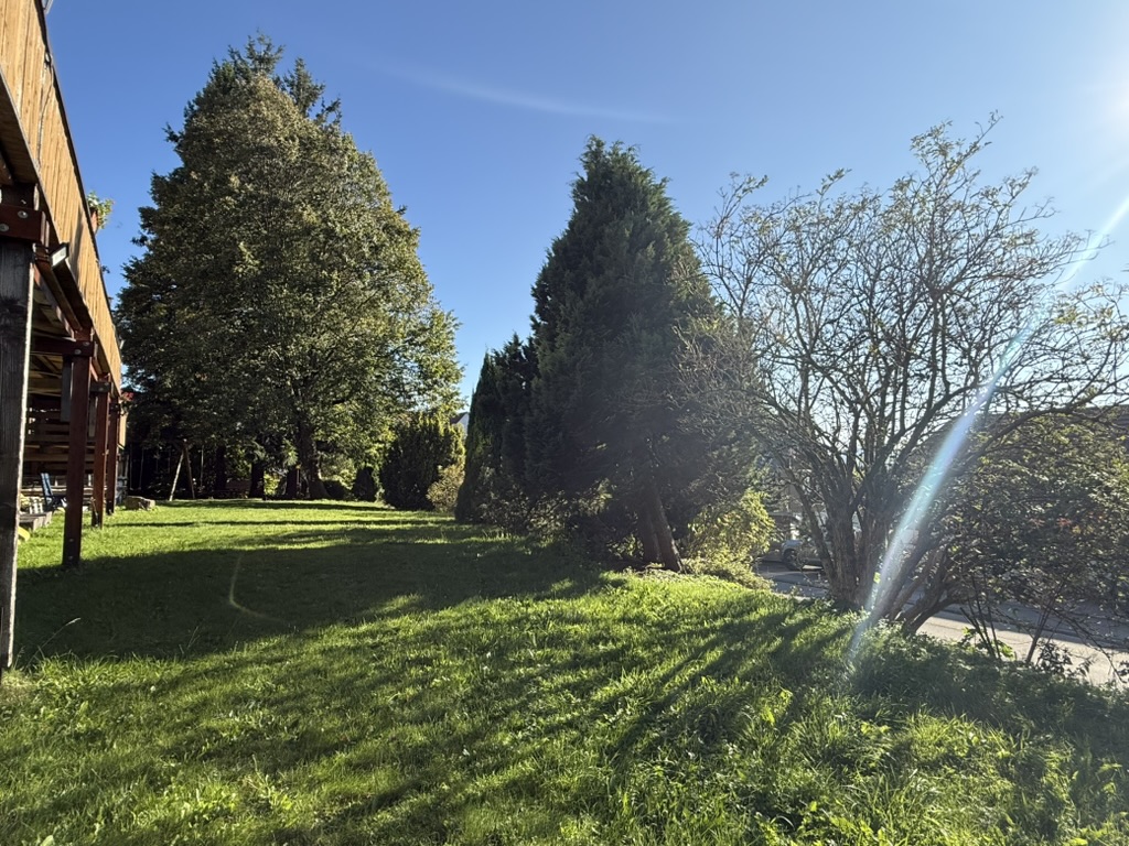 EB63BC82-94B1-49F5-9ACD-F5020F815B83_1_105_c