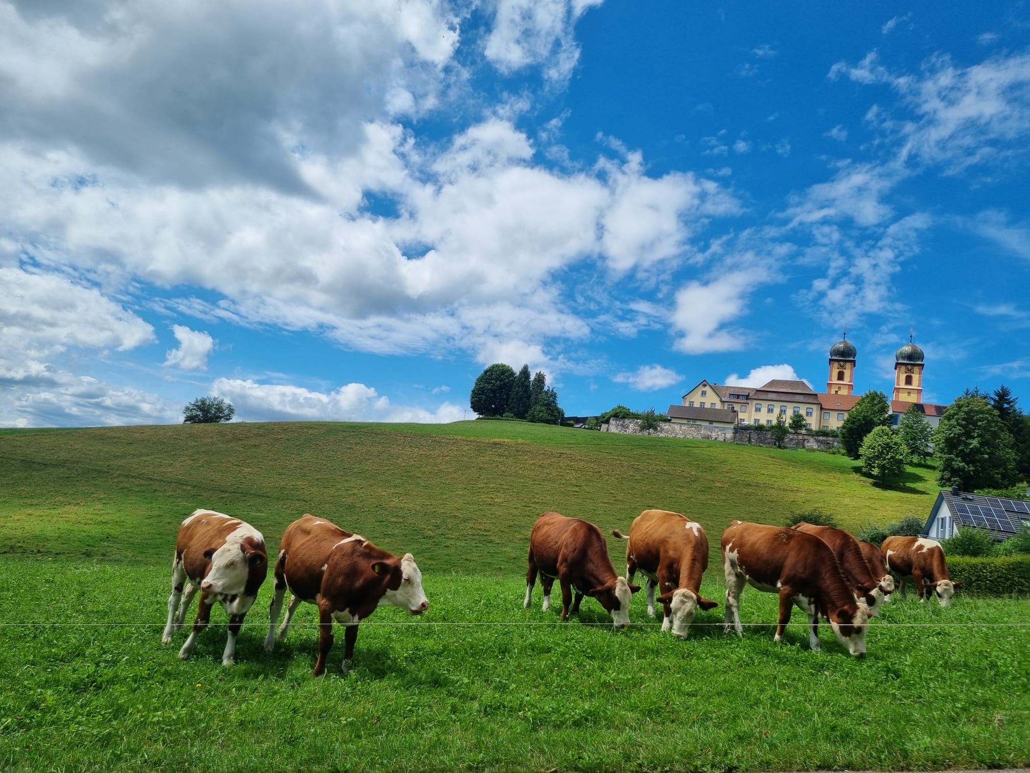 WhatsApp Image 2025-08-16 at 15.14.54