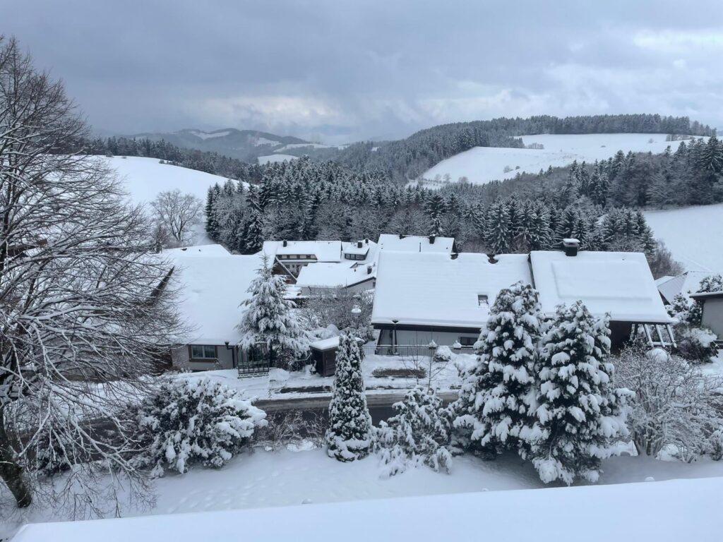 d99ff2f3-8f45-491d-a417-7efaeb70858a